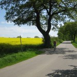 Radtouren durch malerische Landschaften