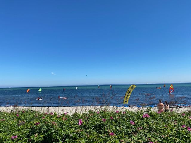 Blick über die Düne auf die Lübecker Bucht
